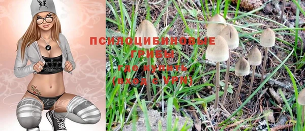 СК Верхний Тагил